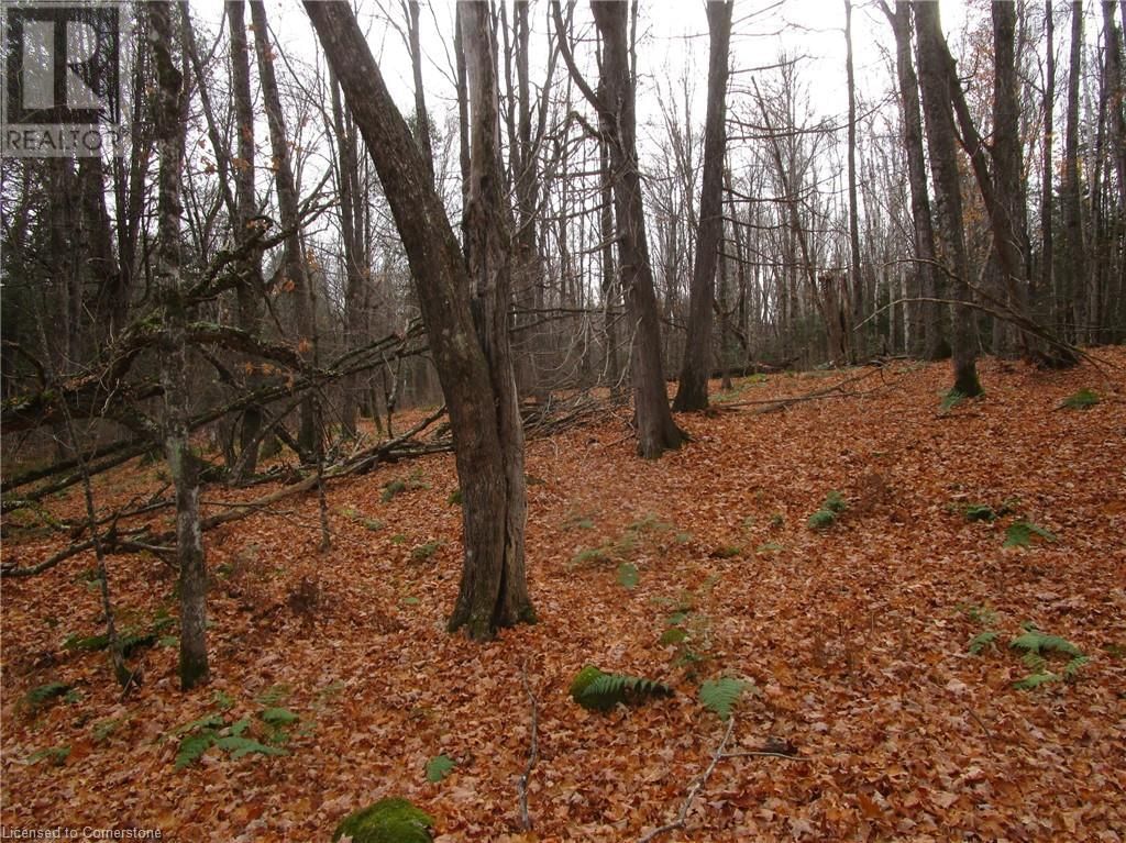 0 O'GRADY SETTLEMENT ROAD Image 3