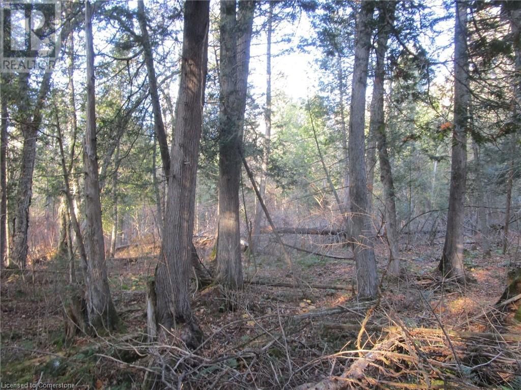 0 O'GRADY SETTLEMENT ROAD Image 4