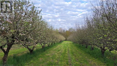 Commercial for Sale in Canada
