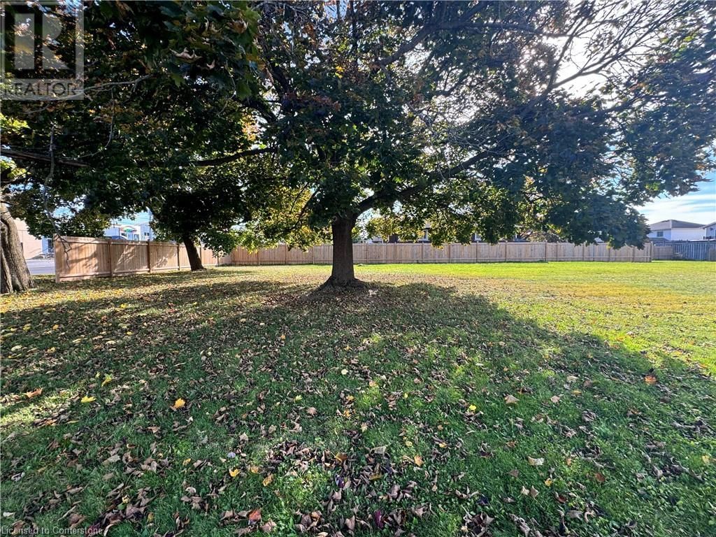 Primary Property View