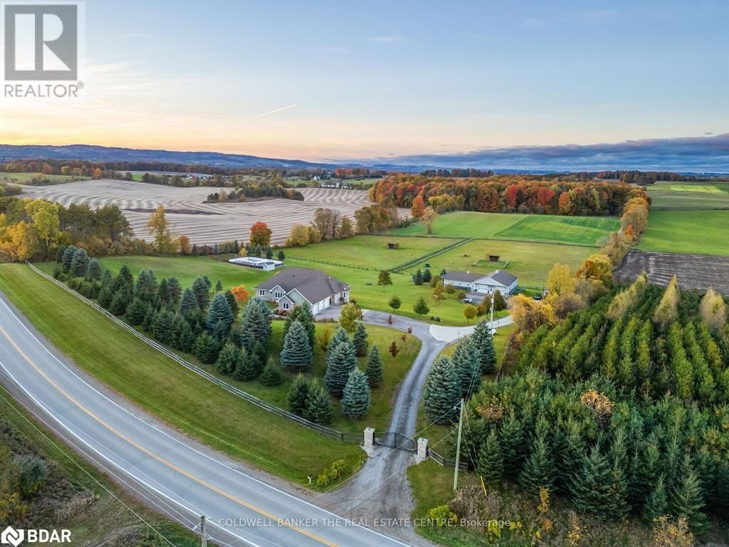 Primary Property View