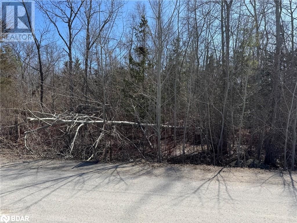 1450 THOMAS DRIVE Image 1