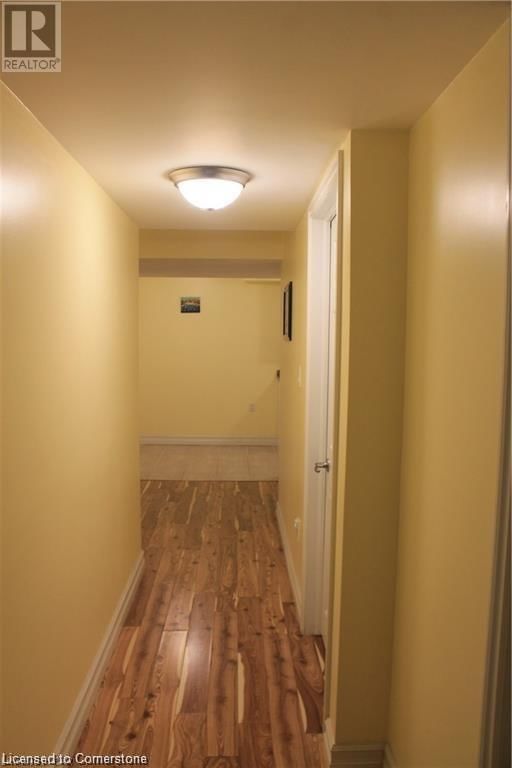 Basement - 40 LENA CRESCENT Image 2