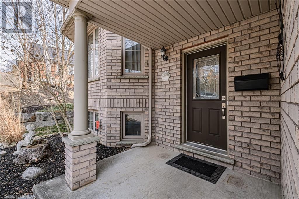 52 AMELIA STREET Image 5