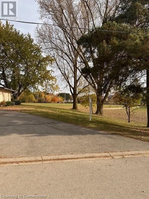 Primary Property View