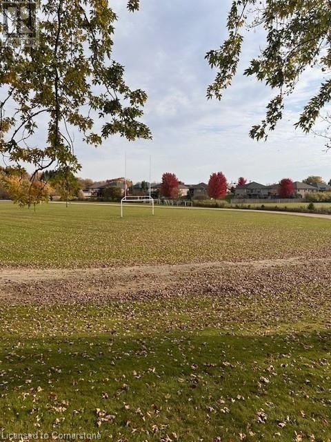 Tertiary Property View