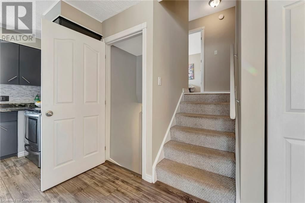 16 GAILMOUNT COURT Image 14