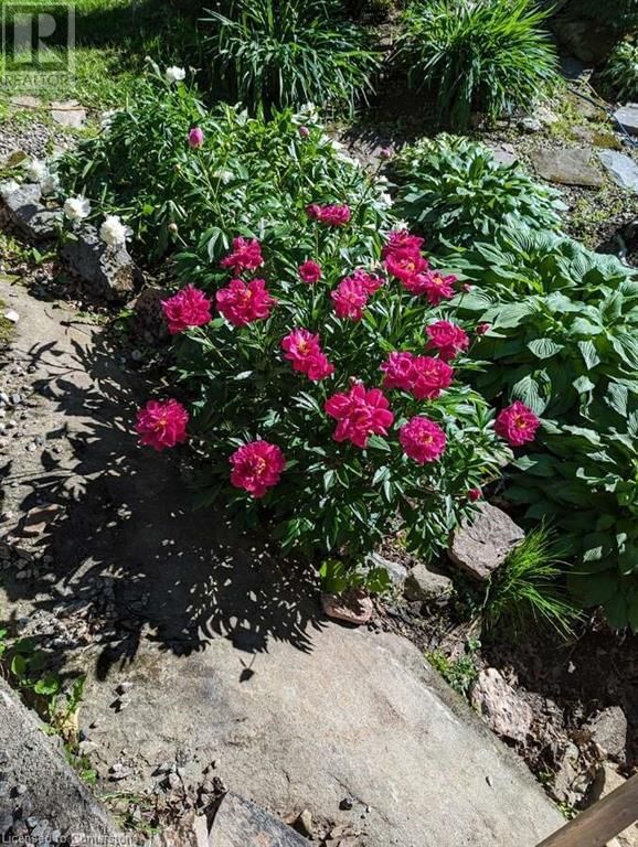22 CAMP ROAD Image 11