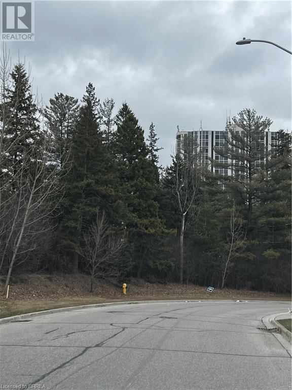 4 ISHERWOOD AVENUE Image 5