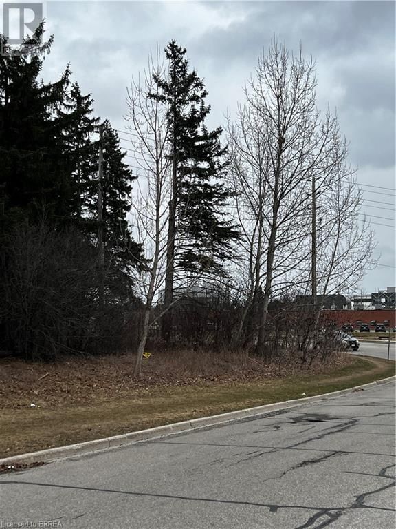 4 ISHERWOOD AVENUE Image 6