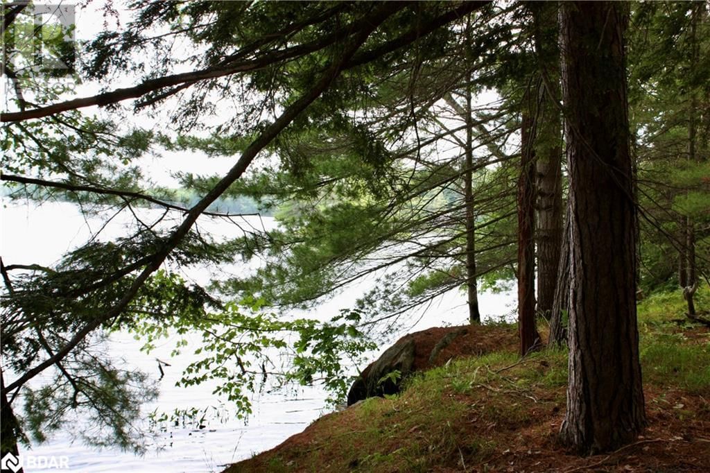 Lot 2 - 0 KASSHABOG LAKE Image 10