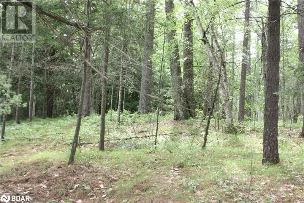 Lot 2 - 0 KASSHABOG LAKE Image 11