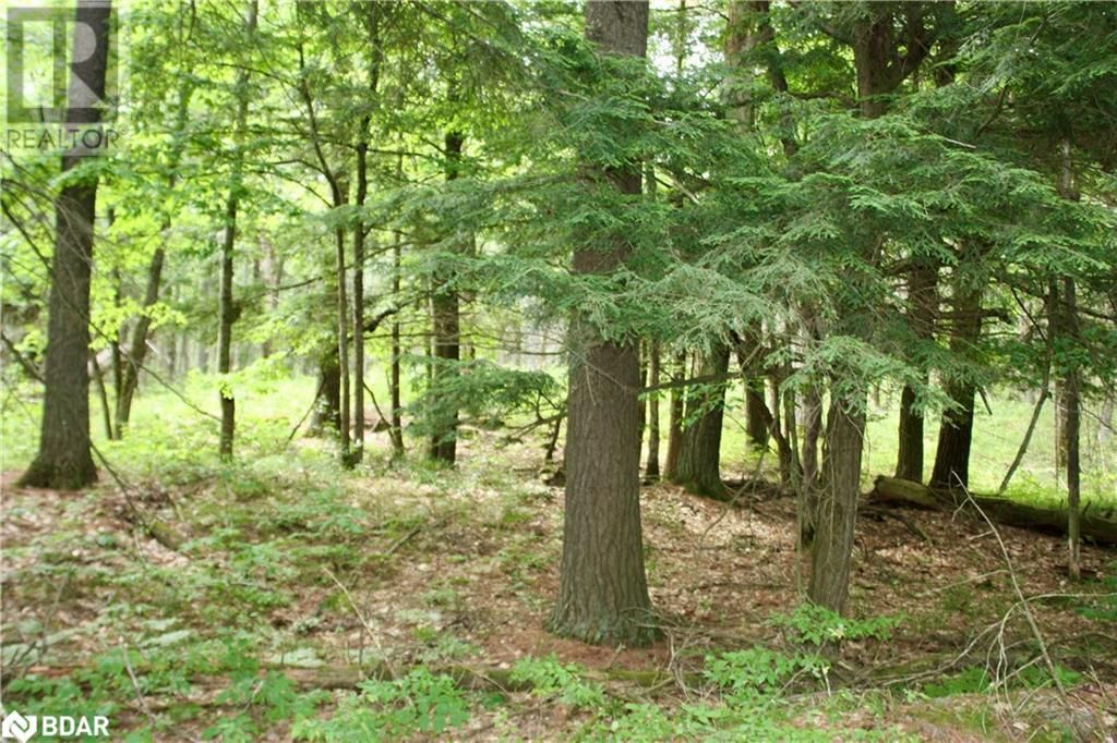 Lot 2 - 0 KASSHABOG LAKE Image 13