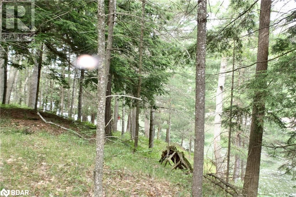 Lot 2 - 0 KASSHABOG LAKE Image 14