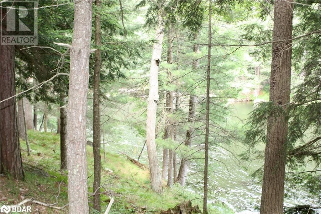Lot 2 - 0 KASSHABOG LAKE Image 15
