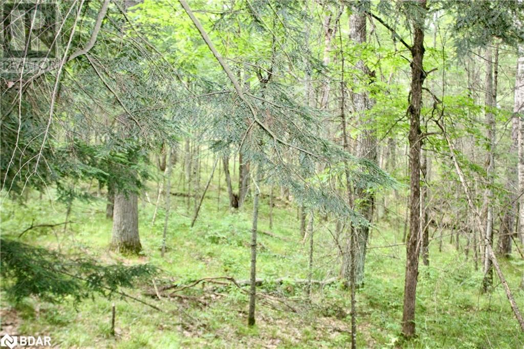 Lot 2 - 0 KASSHABOG LAKE Image 16