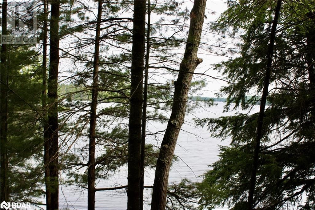Lot 2 - 0 KASSHABOG LAKE Image 17