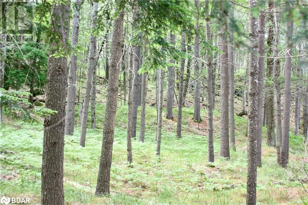 Lot 2 - 0 KASSHABOG LAKE Image 18