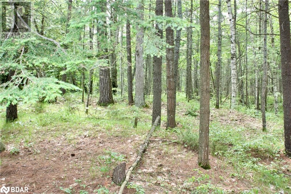 Lot 2 - 0 KASSHABOG LAKE Image 3