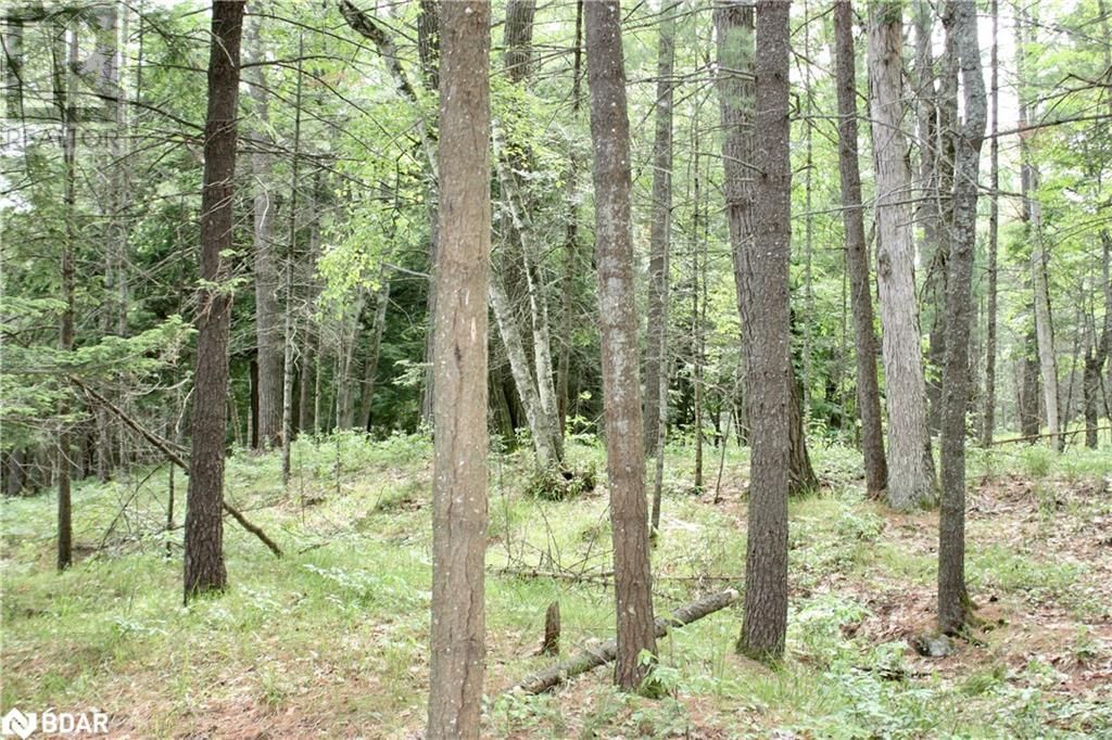 Lot 2 - 0 KASSHABOG LAKE Image 5