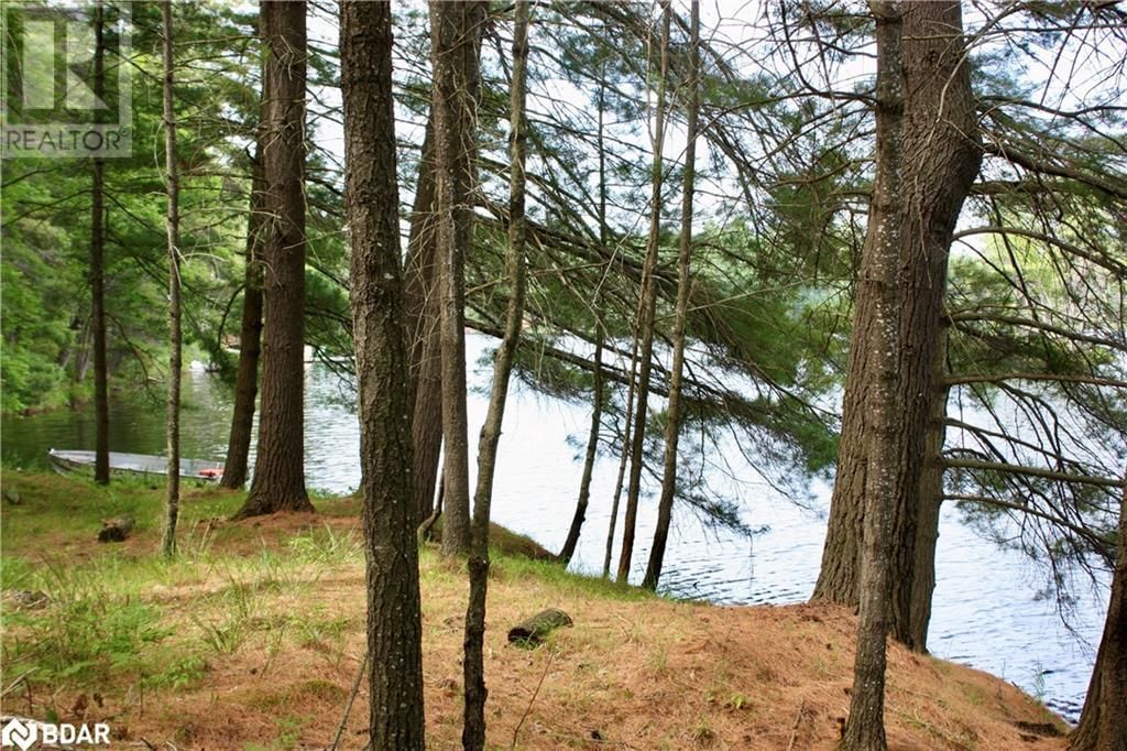 Lot 2 - 0 KASSHABOG LAKE Image 6