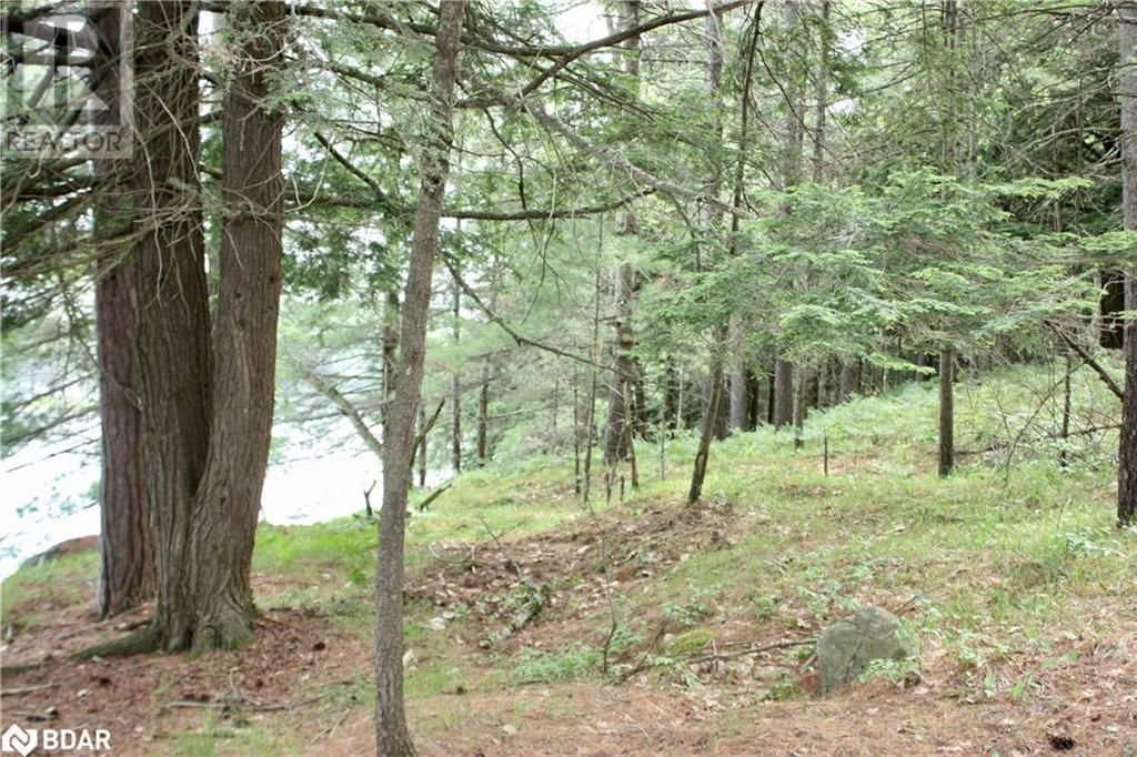 Lot 2 - 0 KASSHABOG LAKE Image 8