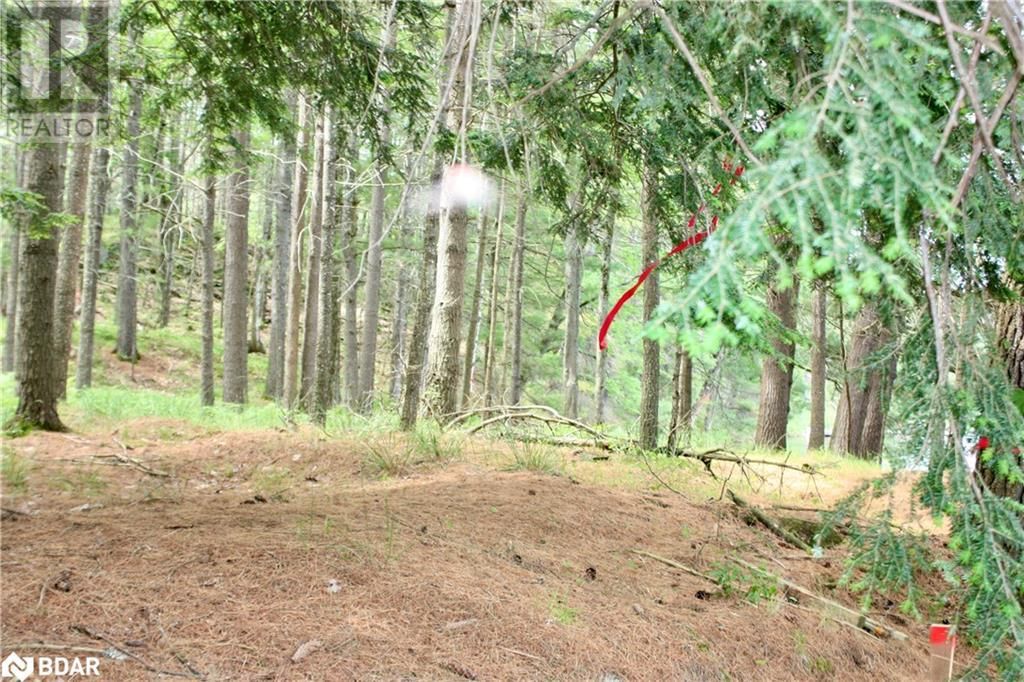 Lot 2 - 0 KASSHABOG LAKE Image 9