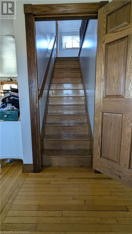 559 BERVIE Image 28