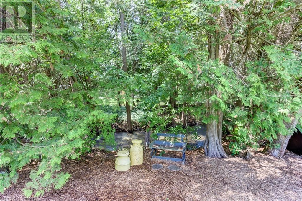 146 FIELD STREET Image 30