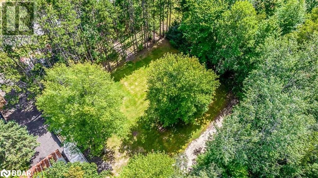 7216 COUNTY ROAD 13 Image 42