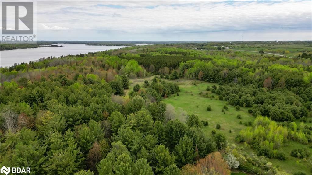 261 PORTAGE ROAD ROAD Image 39