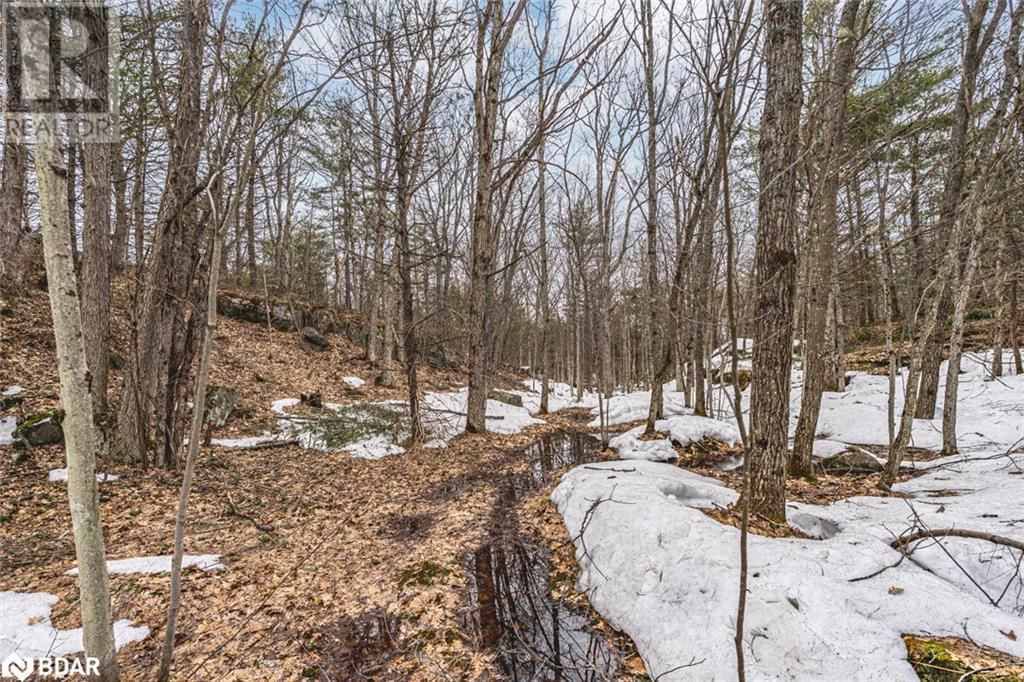 2411 SOUTHWOOD ROAD Image 31