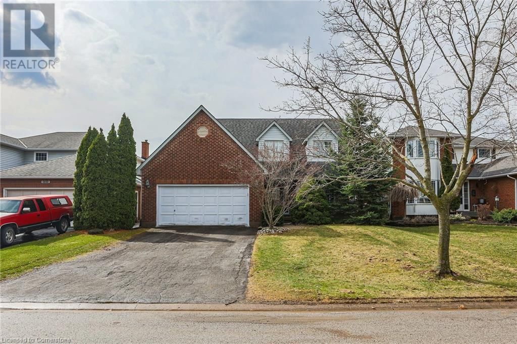 Primary Property View