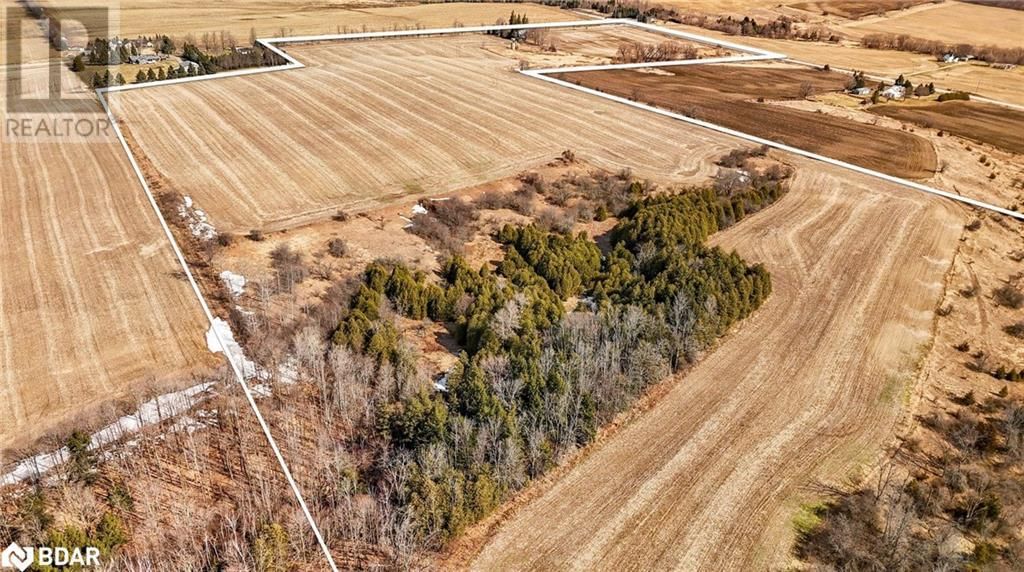 7369 5TH SIDEROAD SIDE ROAD Image 9