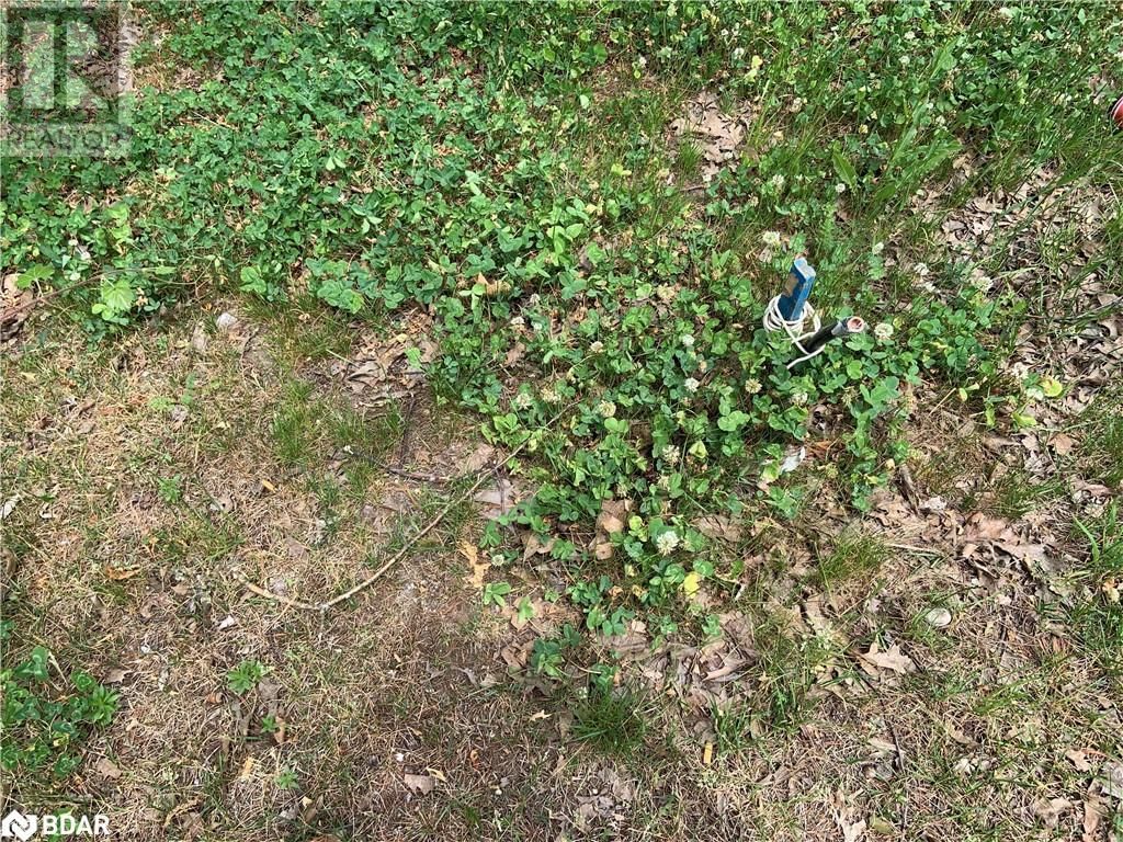 8 POPLAR STREET Image 11