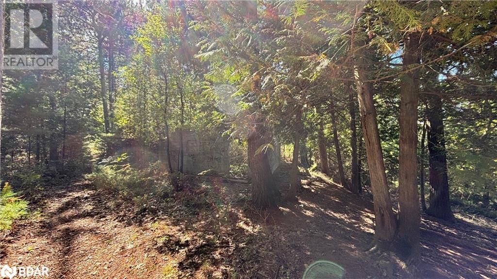 8 POPLAR STREET Image 14