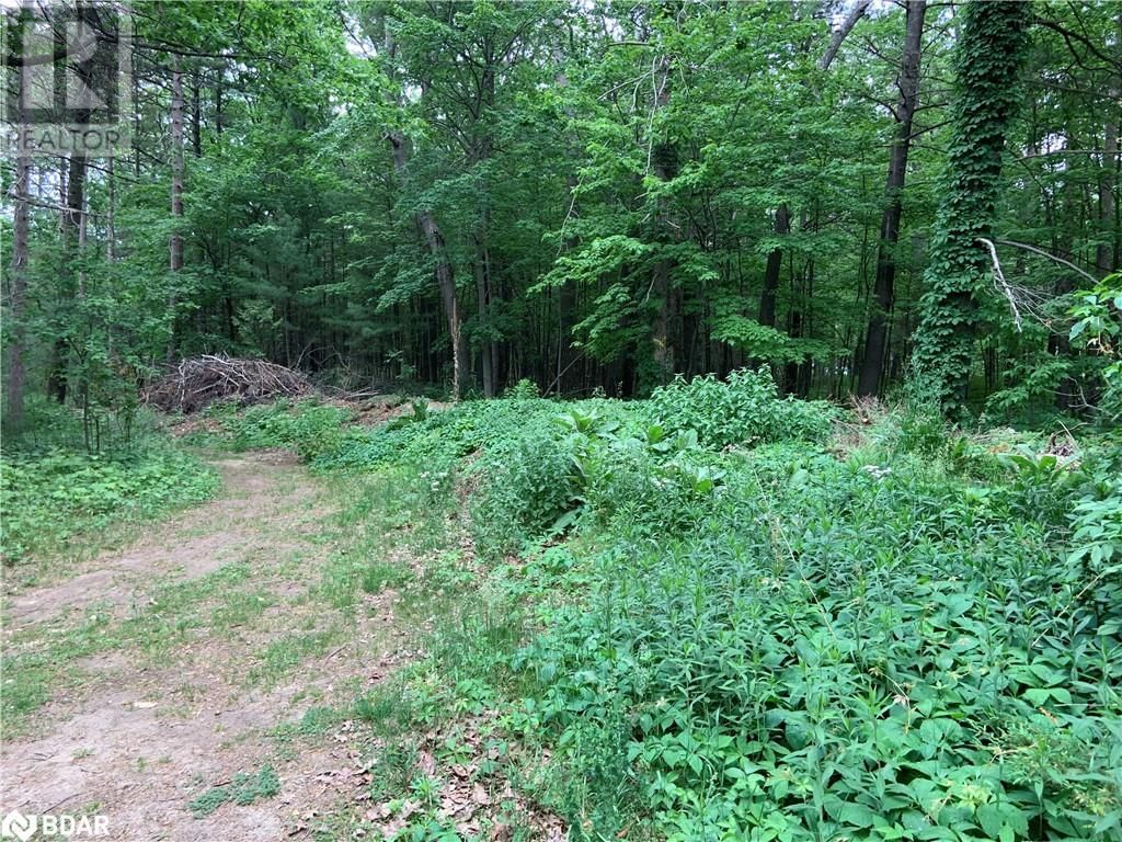 8 POPLAR STREET Image 3