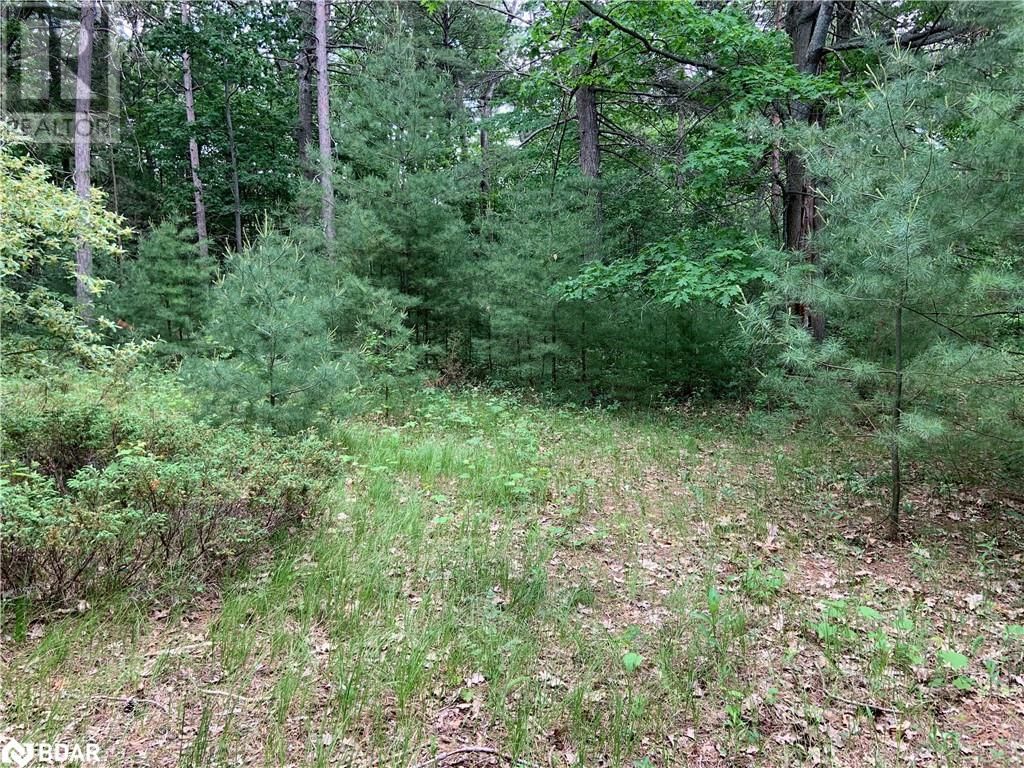 8 POPLAR STREET Image 8