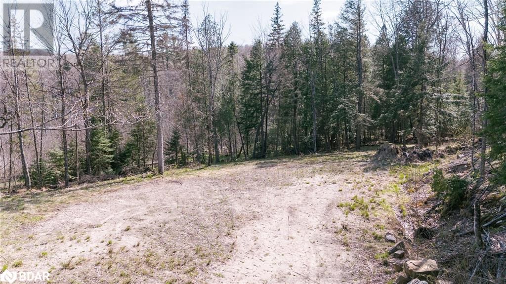 344 NORTH FOX LAKE ROAD Image 10