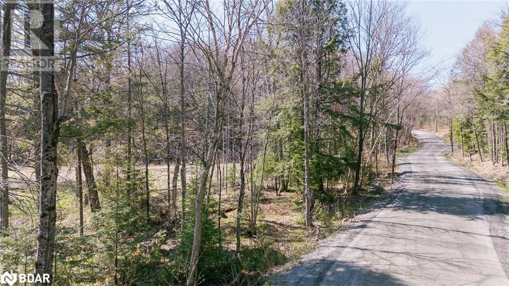 344 NORTH FOX LAKE ROAD Image 2