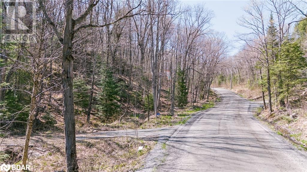 344 NORTH FOX LAKE ROAD Image 3