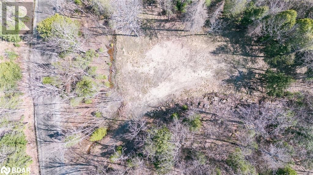 344 NORTH FOX LAKE ROAD Image 8