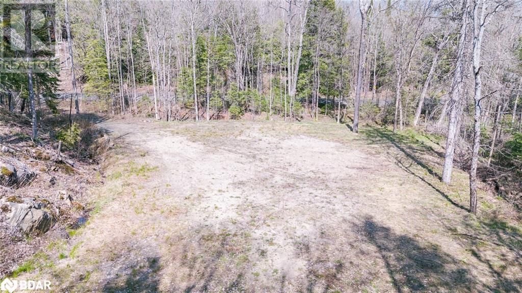 344 NORTH FOX LAKE ROAD Image 9