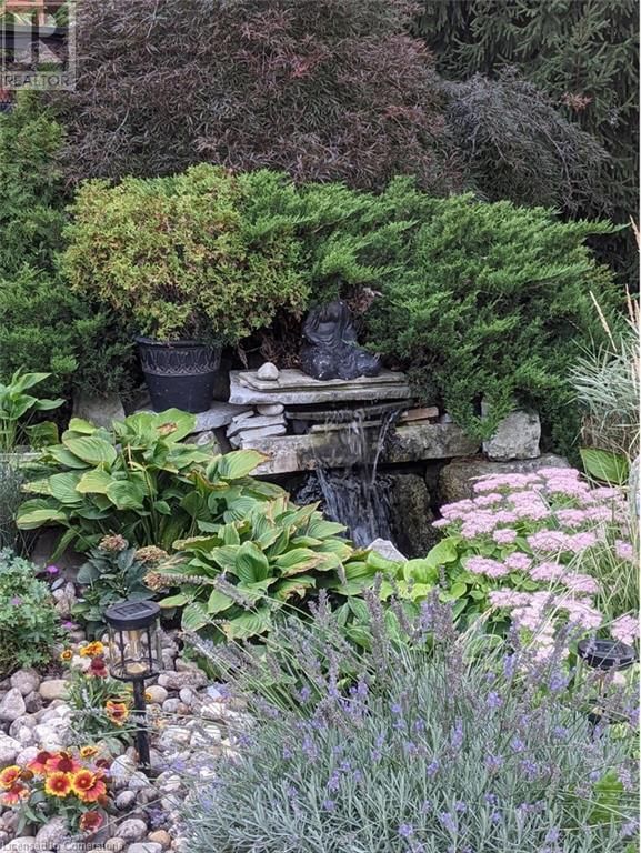 7 HOMEWOOD AVENUE Image 37