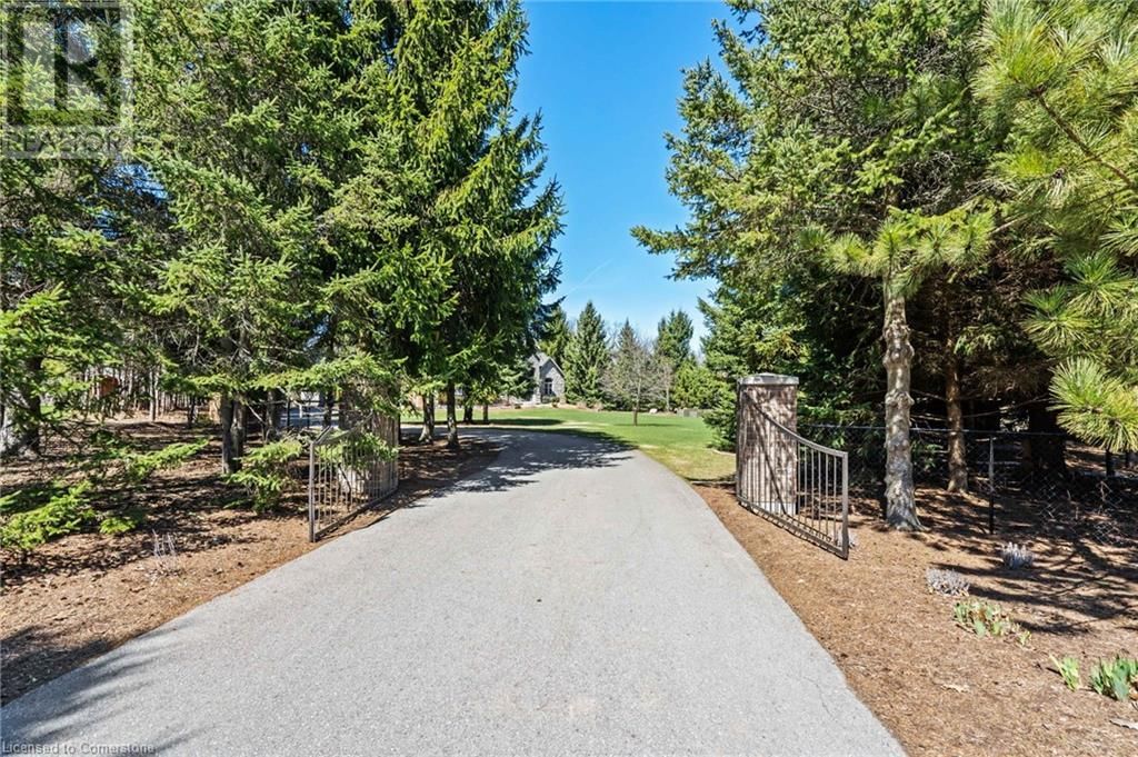203 EAST RIVER ROAD Image 2