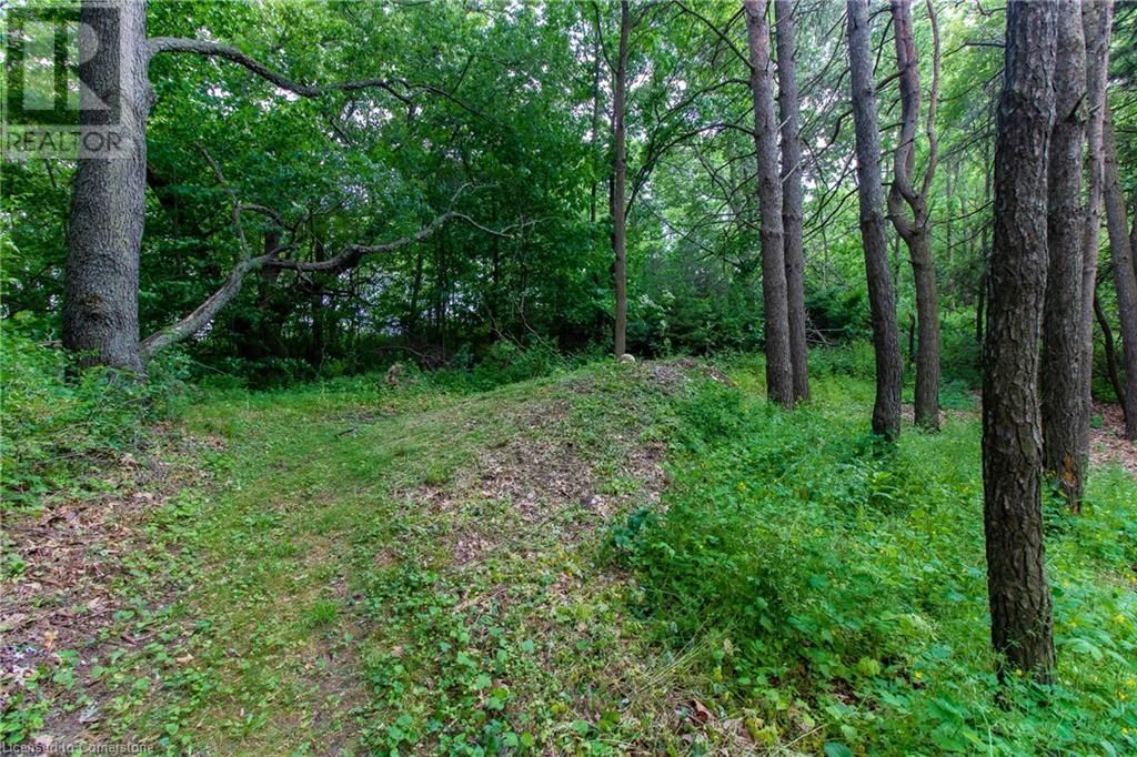 526 HIGHWAY 6 Image 23