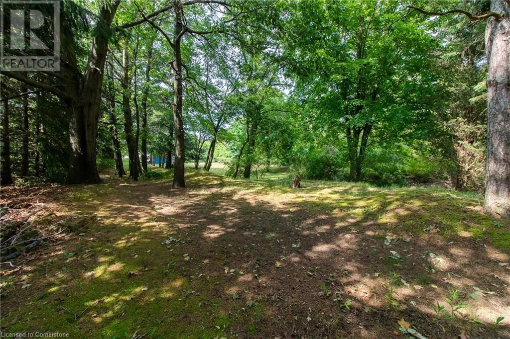526 HIGHWAY 6 Image 24