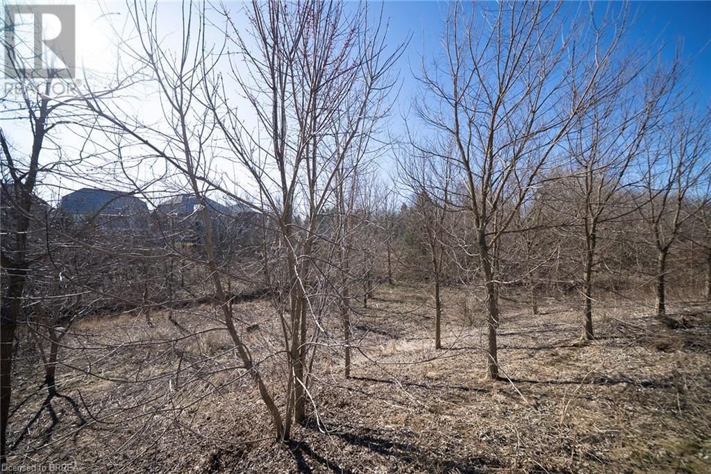 230 THOMAS AVENUE Image 37