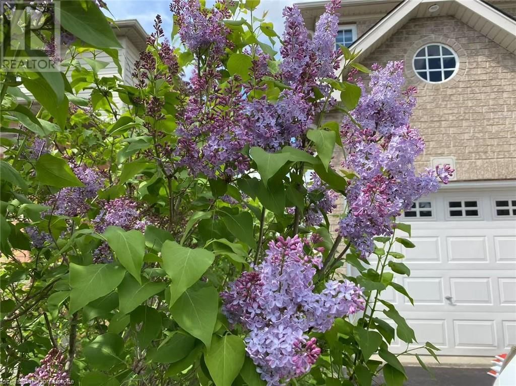 67 FERRIS DRIVE Image 37