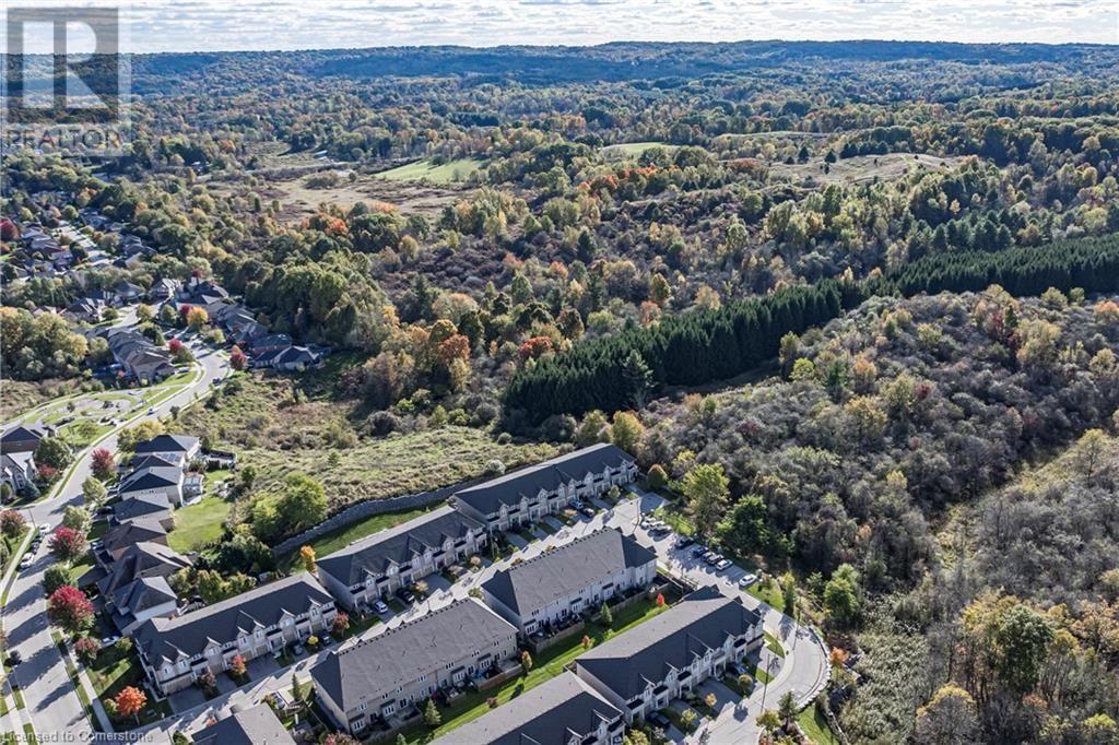 32 FOREST VALLEY CRESCENT Image 42